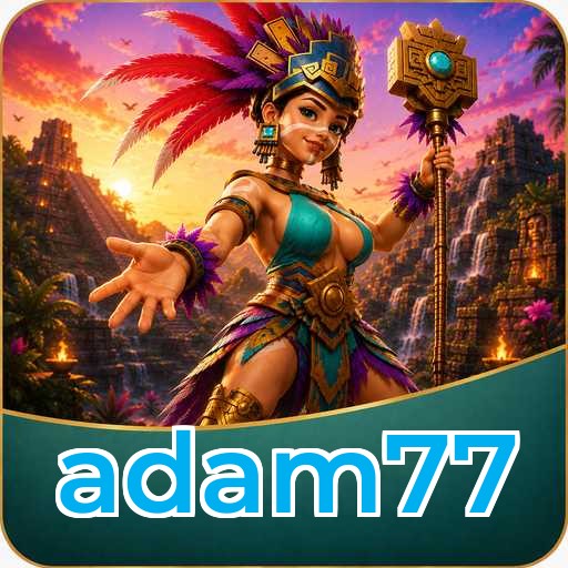 Overview adam77
