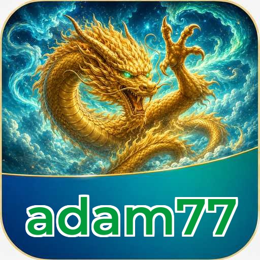 Security Audit - adam77 Comprehensive Analysis